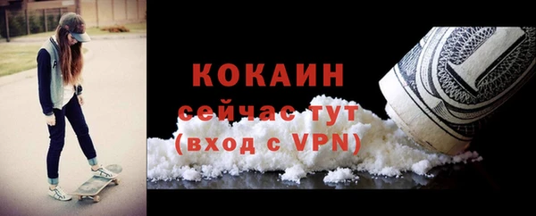 индика Богородск
