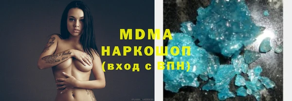индика Богородск