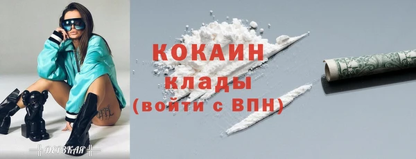 дмт Богородицк