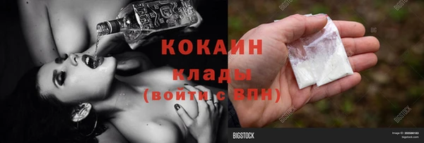 дмт Богородицк