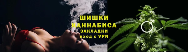 дмт Богородицк