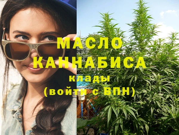 индика Богородск
