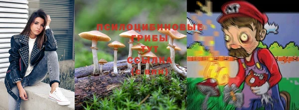 дмт Богородицк