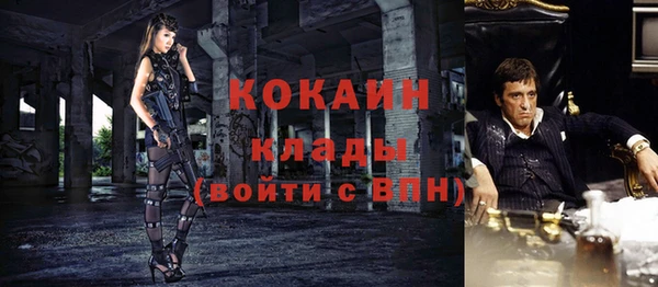 дмт Богородицк