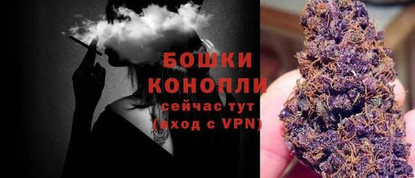 дмт Богородицк