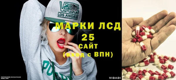 индика Богородск