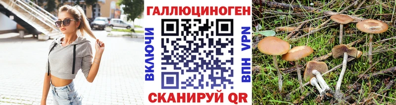Псилоцибиновые грибы GOLDEN TEACHER  дарнет шоп  Дюртюли 